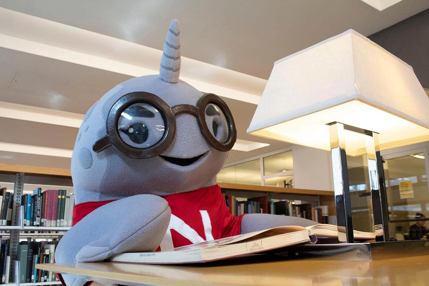 Transition Talks with Narwhals